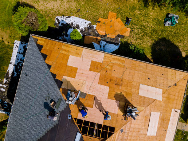 Best Gutter Installation and Roofing  in Dunnavant, AL