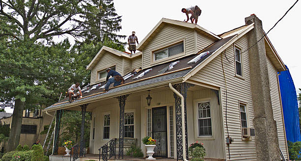 Best Metal Roofing Contractor  in Dunnavant, AL