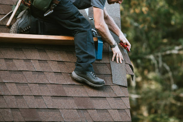 Best Residential Roofing Contractor  in Dunnavant, AL